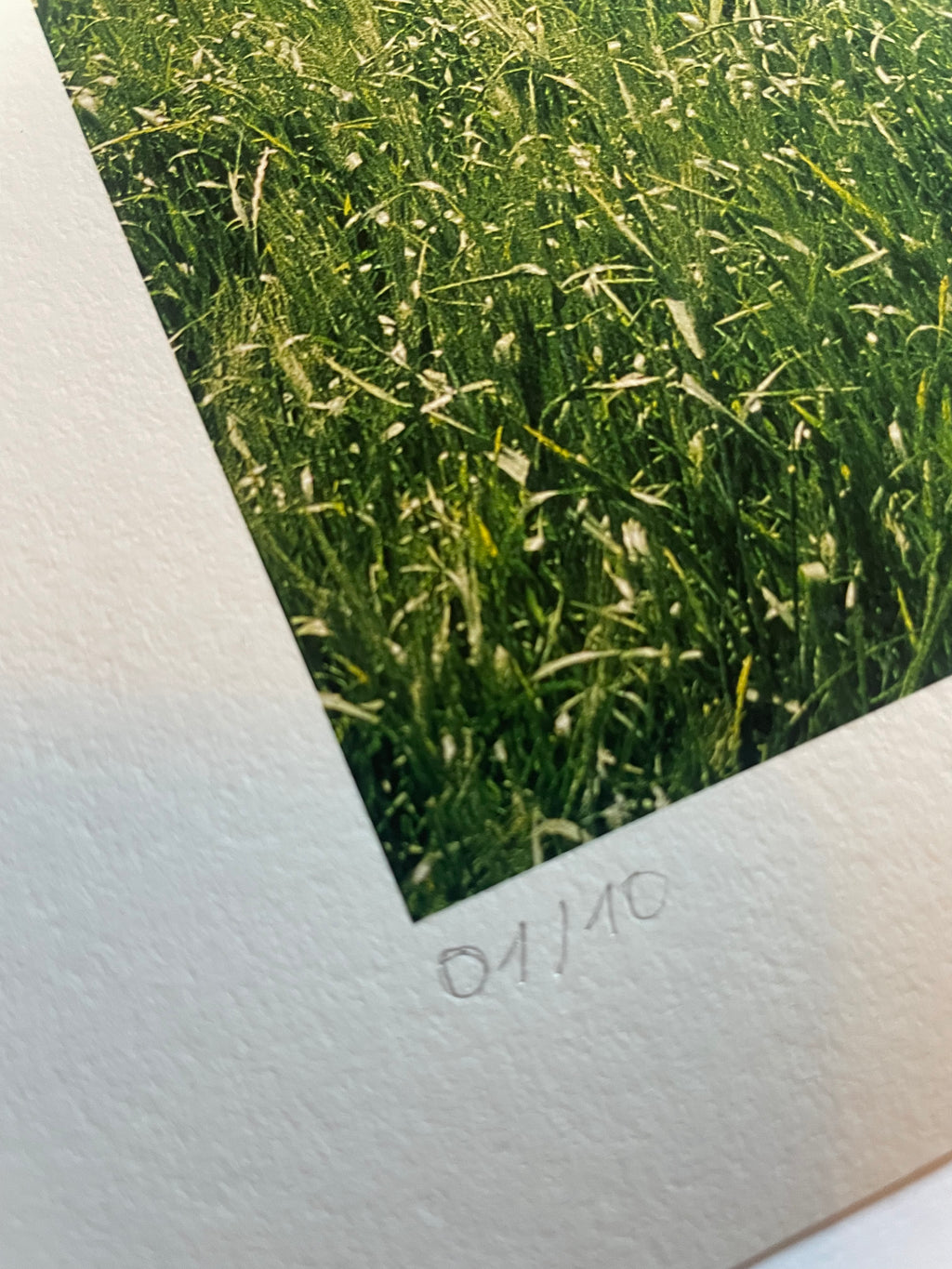 AMORE I - Roy Bianco & Die Abbrunzati Boys