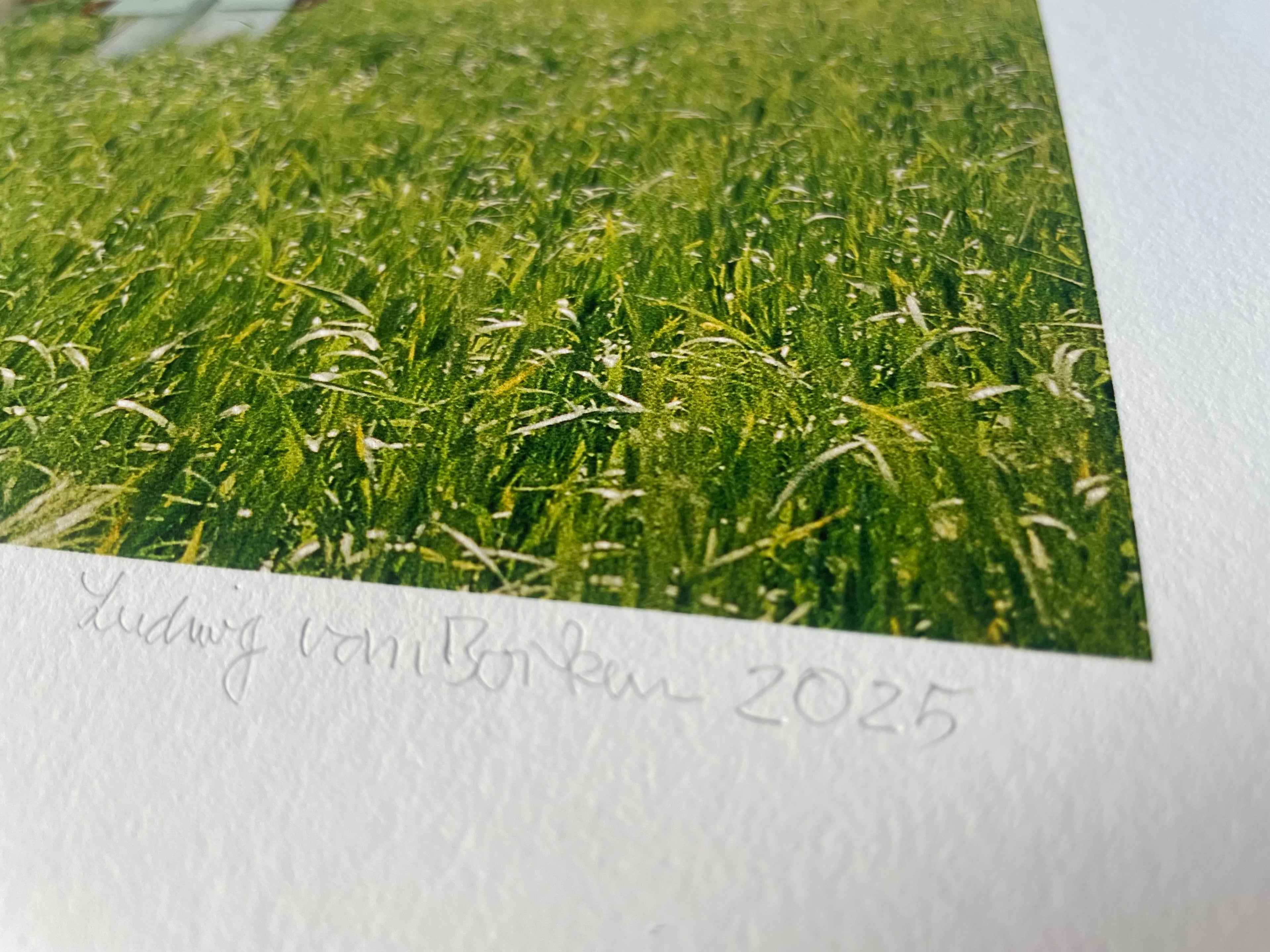 AMORE I - Roy Bianco & Die Abbrunzati Boys