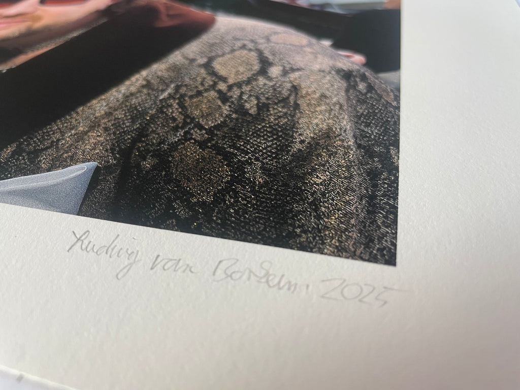 AMORE IV - Roy Bianco & Die Abbrunzati Boys