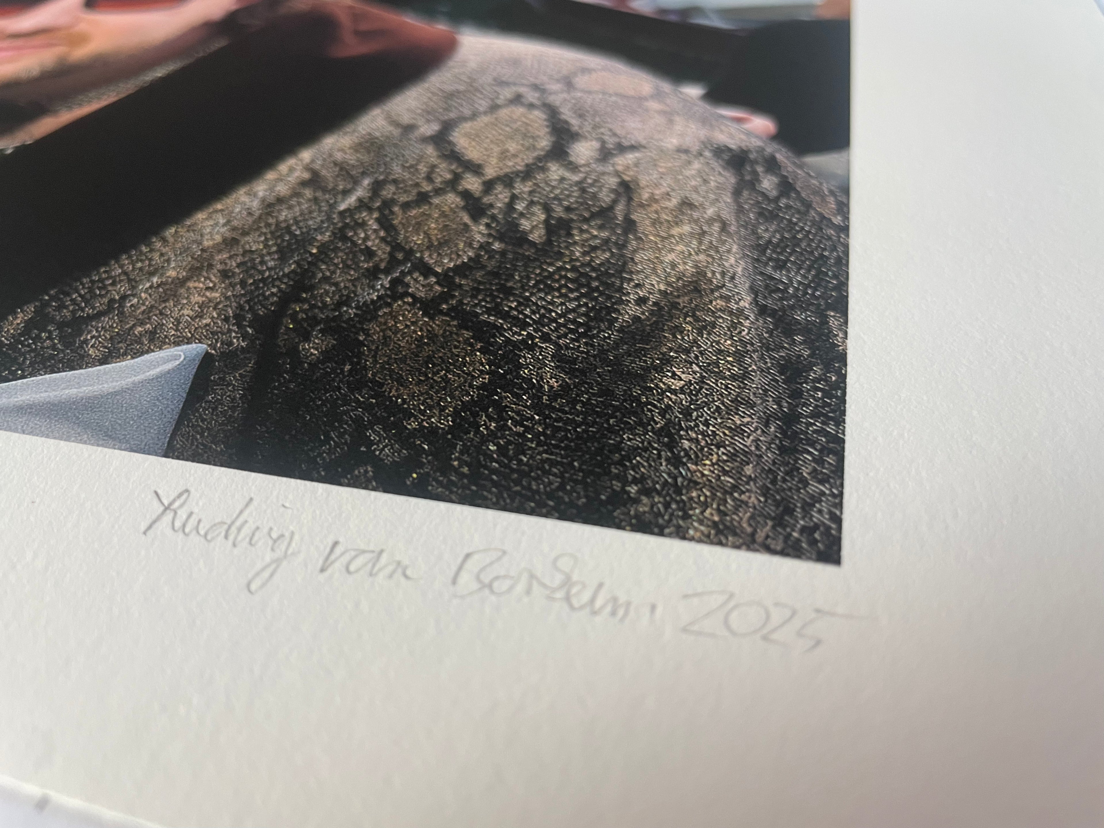 AMORE IV - Roy Bianco & Die Abbrunzati Boys