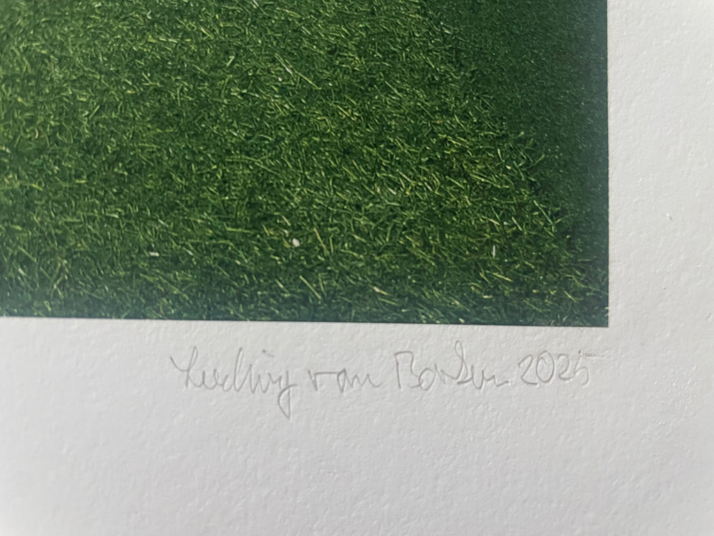 AMORE V - Roy Bianco & Die Abbrunzati Boys