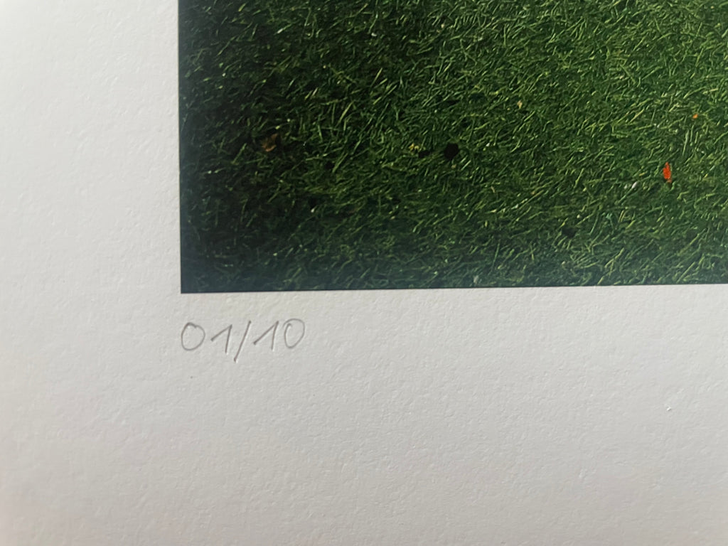 AMORE V - Roy Bianco & Die Abbrunzati Boys