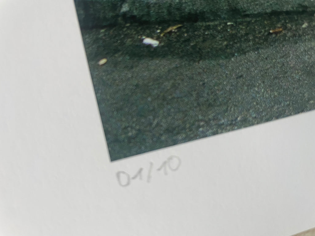 AMORE VI - Roy Bianco & Die Abbrunzati Boys