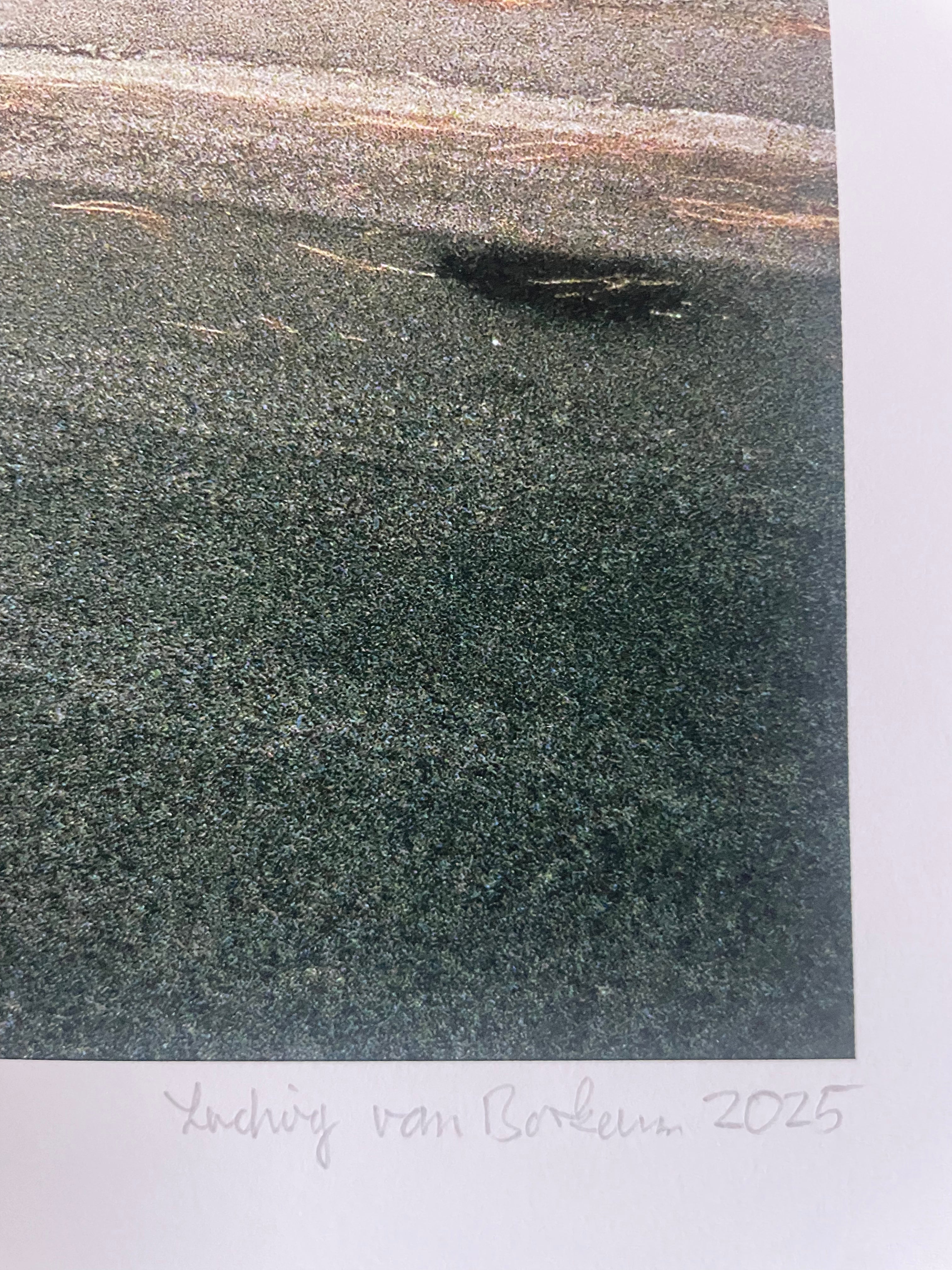 AMORE IX - Roy Bianco & Die Abbrunzati Boys