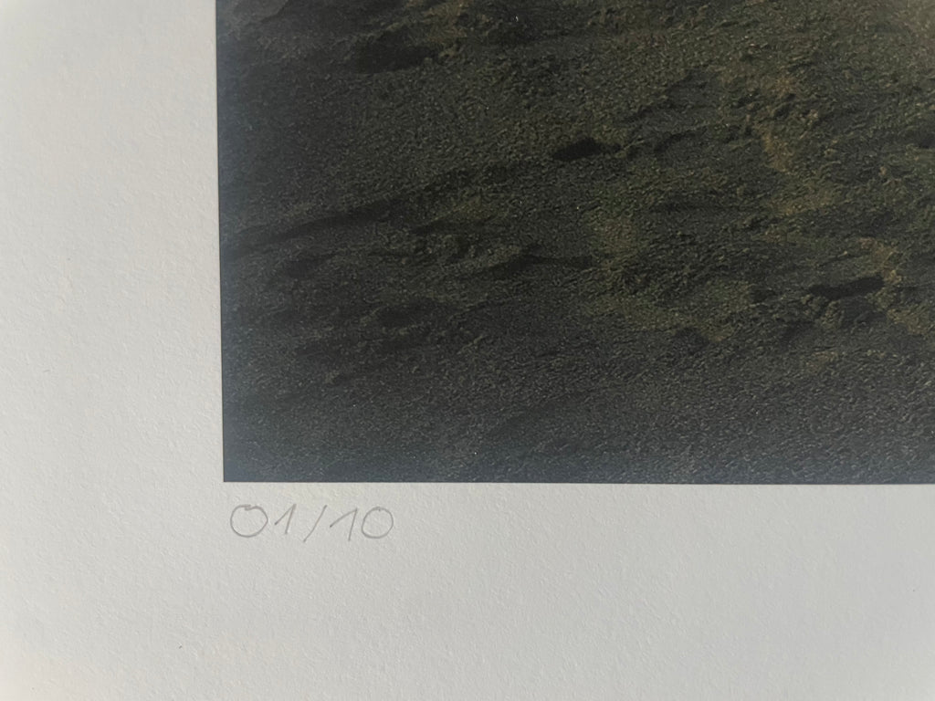 AMORE X - Roy Bianco & Die Abbrunzati Boys