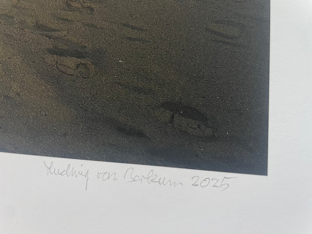 AMORE X - Roy Bianco & Die Abbrunzati Boys