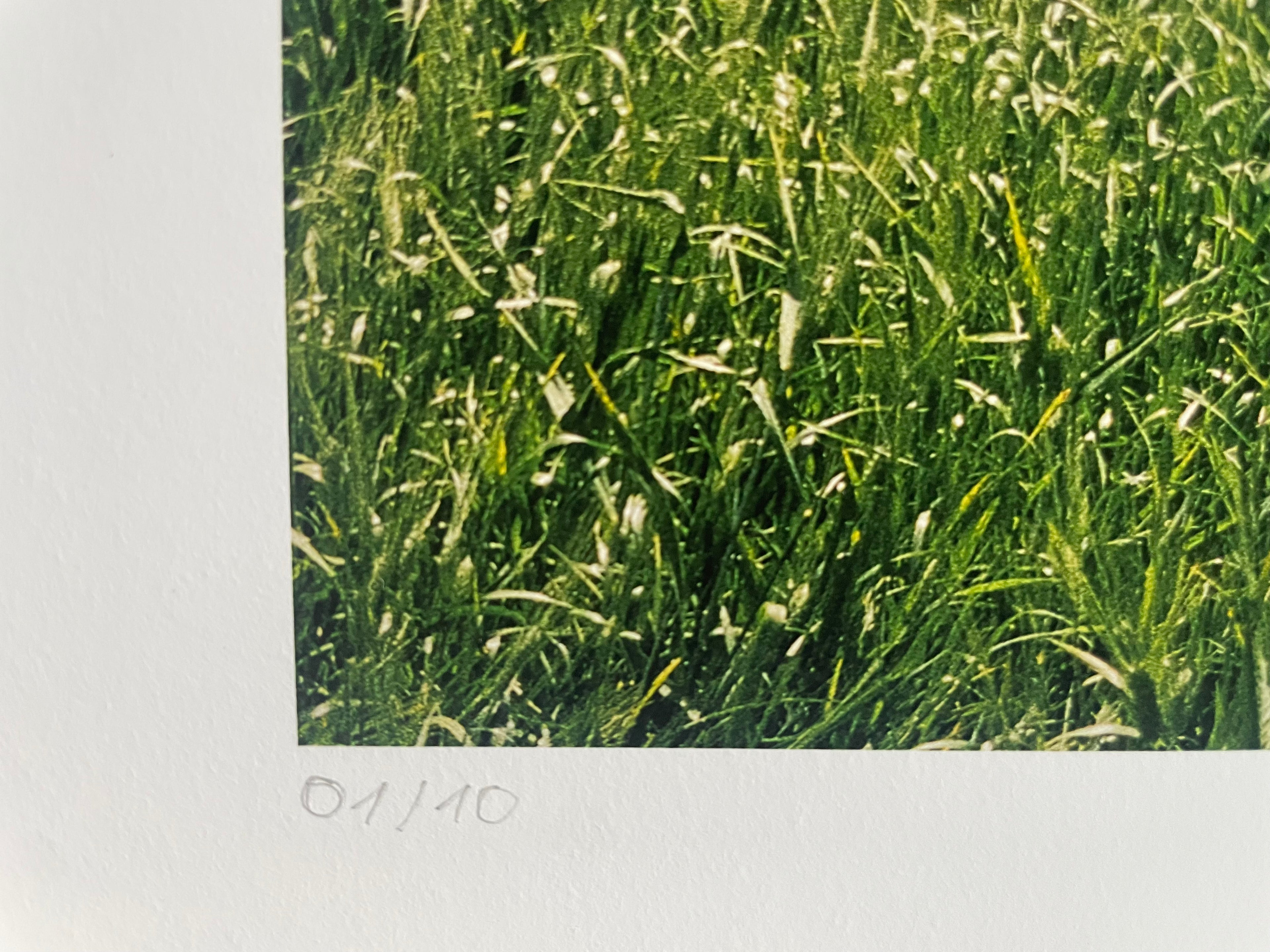 AMORE I - Roy Bianco & Die Abbrunzati Boys