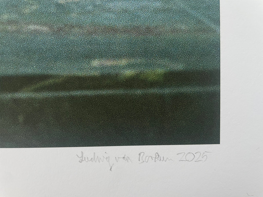 AMORE II - Roy Bianco & Die Abbrunzati Boys